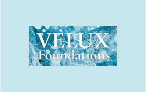 Fundacje VELUX udzielają wsparcia organizacjom pozarządowym