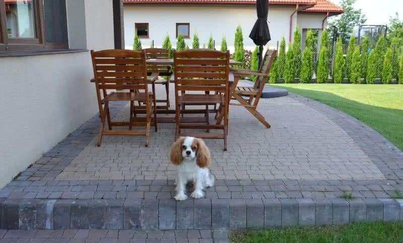 Z czego i jak wykonać taras?
