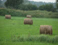 Projekt ustawy o OZE jeszcze w tym roku
