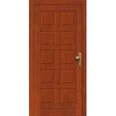 Drzwi DZ 303