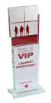 Statuetka LAUREAT PROGRAMU VIP Innowacyjna Stolarka 2012